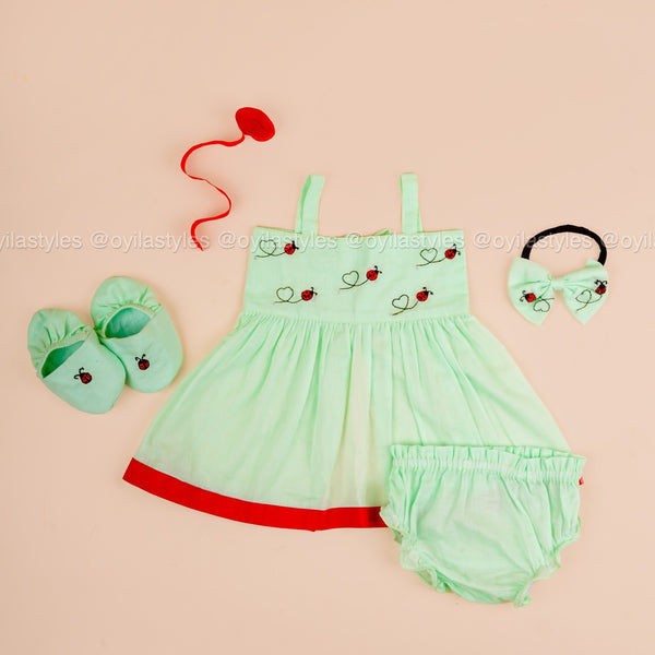 Vaigai – Mint Green Dress Set with Ladybug Embroidery